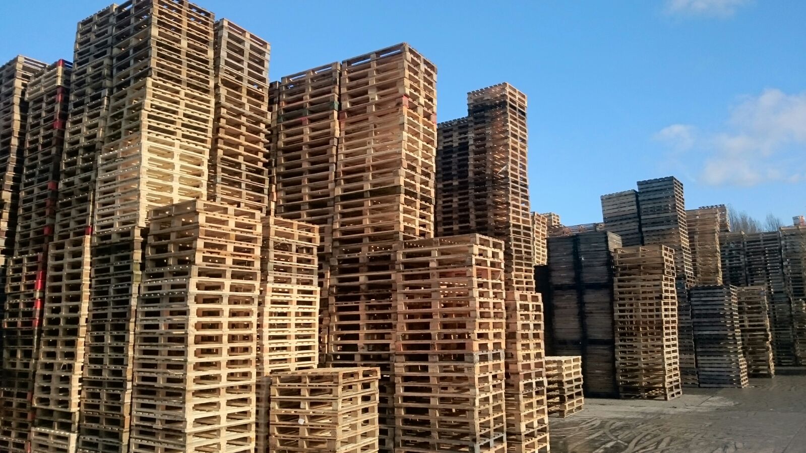 Reconditioned pallets » Davies Pallets